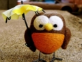 Spel Söt Owl Puzzle  på nätet