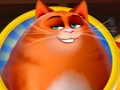 Spel Kitten klättra på nätet
