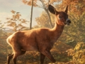 Spel Safari Jeep Car Parking Sim: Jungle Adventure på nätet