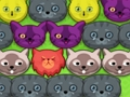 Spel Pop-pop kattungar  på nätet