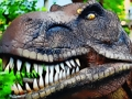 Spel Tyrannosaurus rex köttätare pussel på nätet