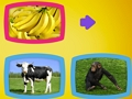 Spel Vad äter djur?  på nätet