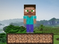 Spel Minecraft överlevnad  på nätet