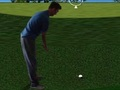 Spel Flash Golf 3D  på nätet