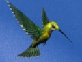 Spel Kolibri hus fly på nätet