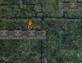 Spel Kaninäventyr  på nätet