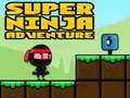 Spel Superäventyr Ninja  på nätet