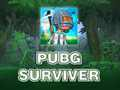 Spel PUBG Survivor  på nätet