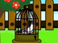 Spel Duva Escape  på nätet