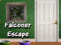 Spel Falconer fly på nätet