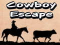 Spel Cowboy fly på nätet