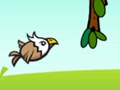 Spel Galna örn!  på nätet