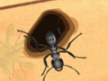 Spel Krossa myrorna på nätet
