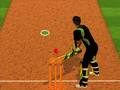 Spel Cricket smetutmaning på nätet