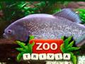 Spel Zoo trivia på nätet