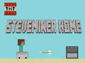 Spel Steveminers hem  på nätet