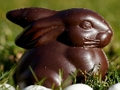 Spel Chokladkaninsticksåg  på nätet