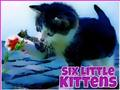 Spel Sex små kattungar  på nätet
