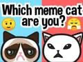 Spel Vilken memekatt är du?  på nätet