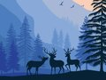 Spel Landskap Paradise Hidden  på nätet