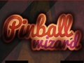 Spel Pinverguide på nätet