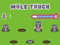 Spel Polstouch på nätet