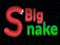Spel Stor orm. io  på nätet