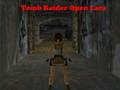 Spel Tomb Raider Öppna Lara  på nätet