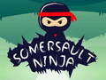Spel Kullerbytta Ninja  på nätet