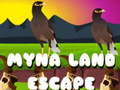 Spel Myna land fly på nätet