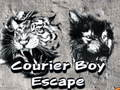 Spel Courier Boy fly på nätet