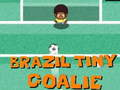 Spel Brasilien liten målvakt  på nätet