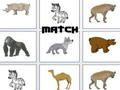Spel Match på nätet