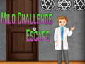 Spel Amgel Mild Challenge Escape på nätet
