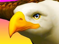 Spel Örntur på nätet