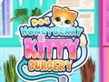 Spel Doc Honeyberry Kitty -kirurgi på nätet
