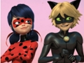 Spel Mirakulösa nyckelpiga & Cat Noir pussel  på nätet
