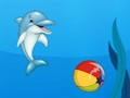 Spel Delfinshow  på nätet