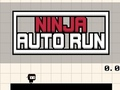 Spel Ninja Auto Run på nätet
