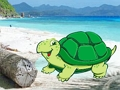 Spel Strandkrabba par fly på nätet