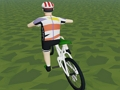 Spel Rider Extreme 3D  på nätet