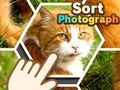 Spel Sortera fotografi  på nätet