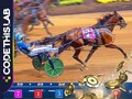 Spel Sele racing på nätet
