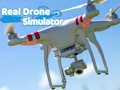Spel Riktig dronesimulator  på nätet