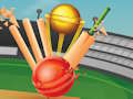 Spel T20 cricket på nätet