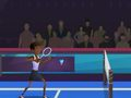 Spel Badmintonbråk  på nätet