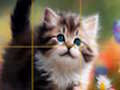 Spel Pussel glidande kattungar  på nätet