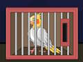 Spel Släpp The Cockatiel Bird  på nätet
