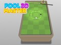 Spel Pool Master 3D på nätet