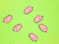 Spel Rädda Piggies  på nätet